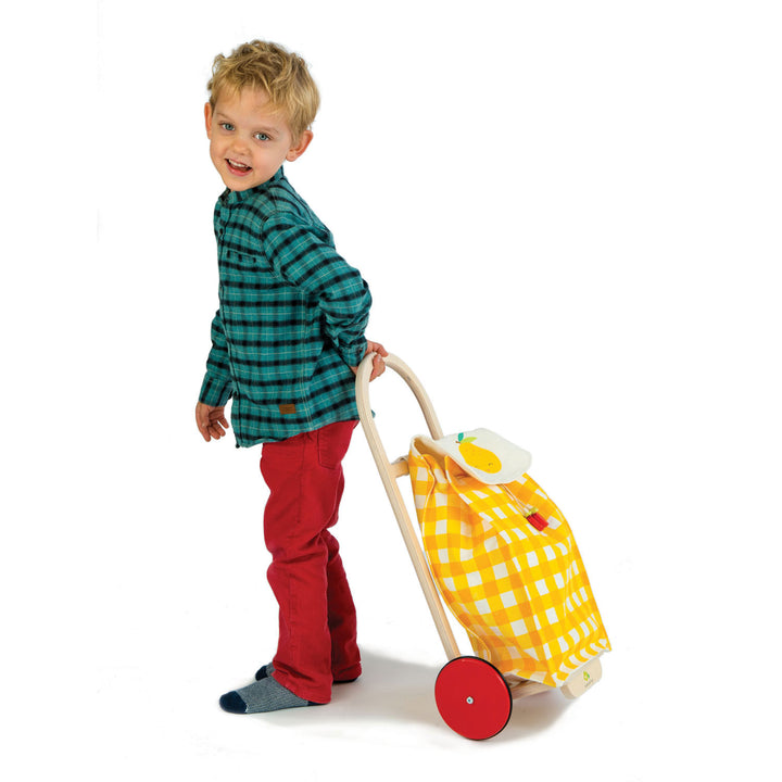 Pull Along Shopping Trolley Tender Leaf Toys