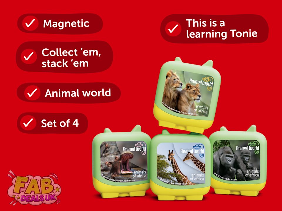 Animal World: Animals of Africa Clever Pocket Tonies