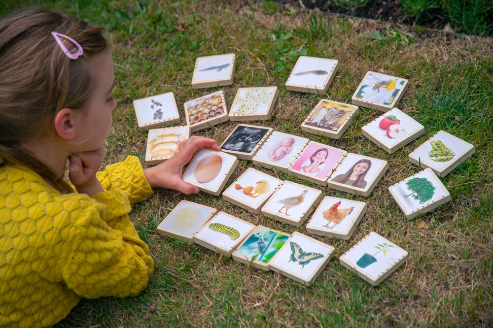 24 Lifecycle Tiles TickIt Wooden Educational Toy