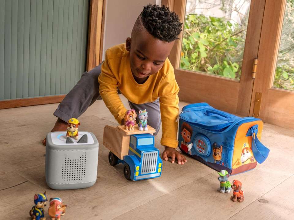 Paw Patrol: Rocky Tonies