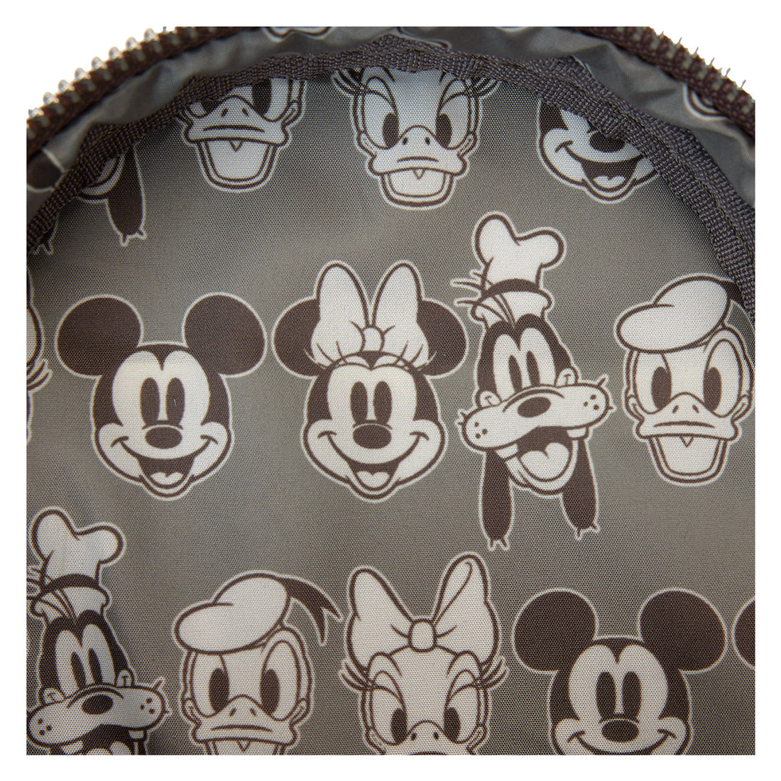 Mickey and Friends Disney Waterbottle Crossbody Loungefly Bag